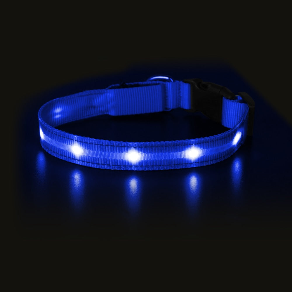 Light Up Dog Collar Waterproof USB Rechargeable Glowing