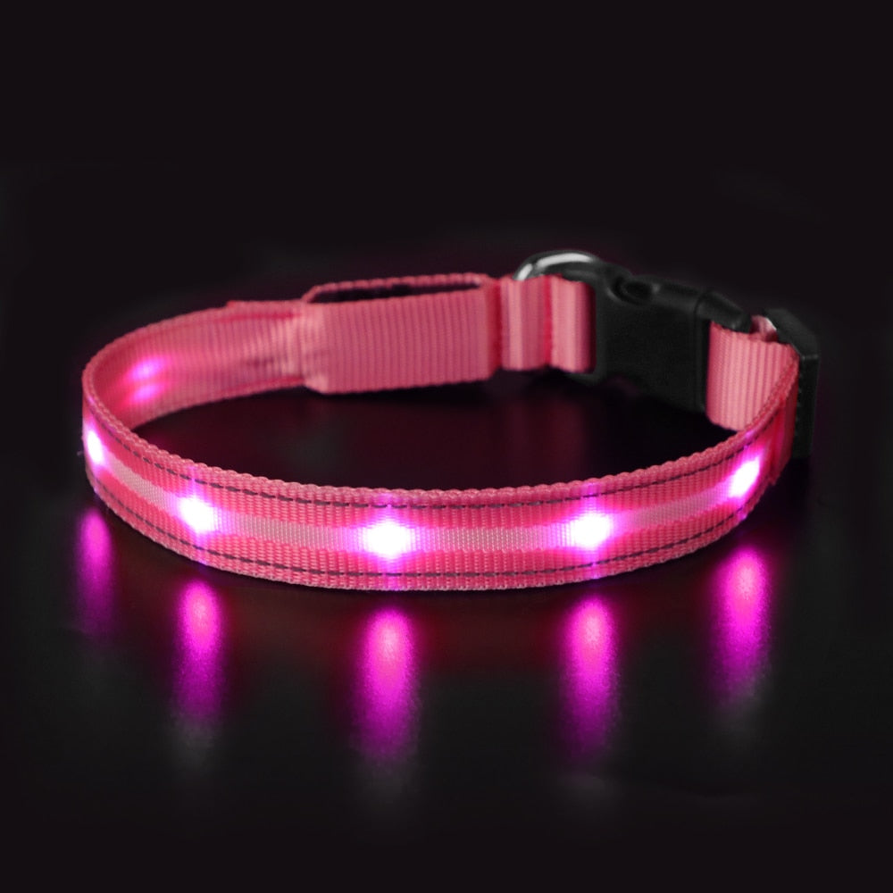 Light Up Dog Collar Waterproof USB Rechargeable Glowing