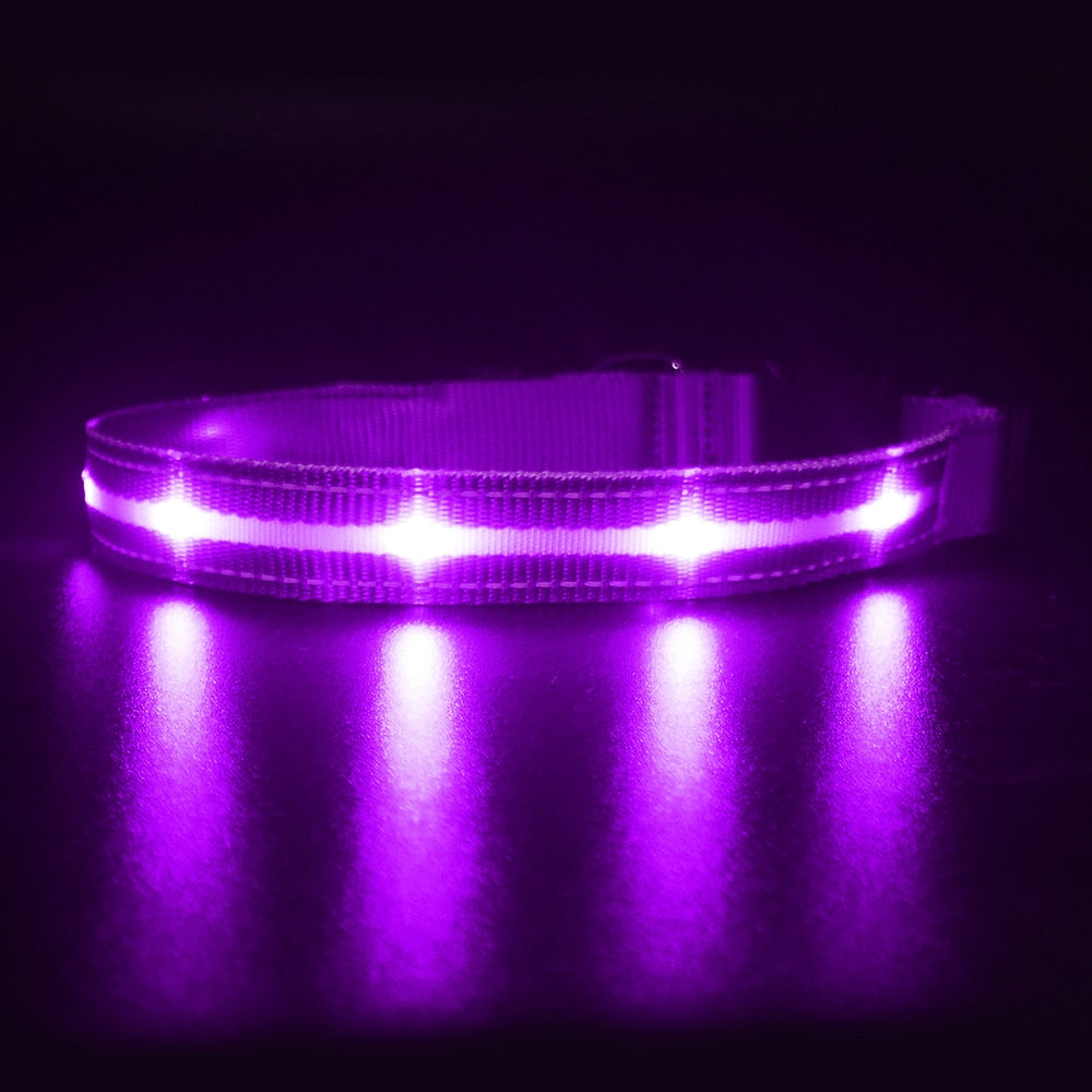 Light Up Dog Collar Waterproof USB Rechargeable Glowing