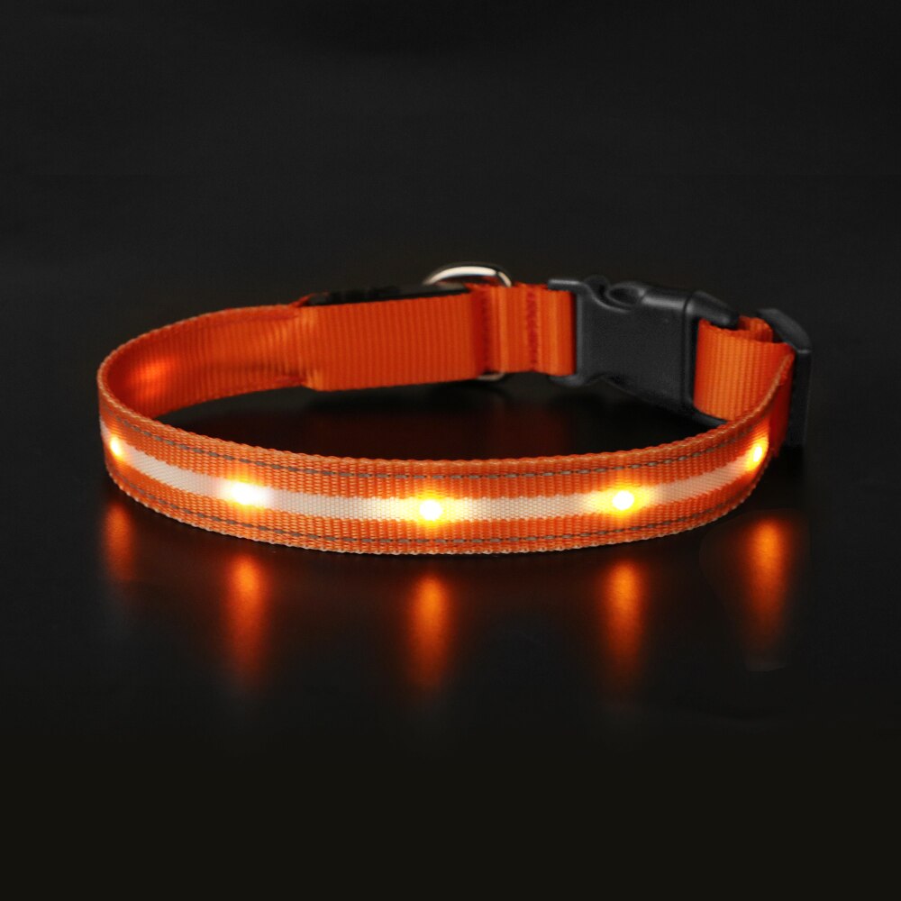 Light Up Dog Collar Waterproof USB Rechargeable Glowing