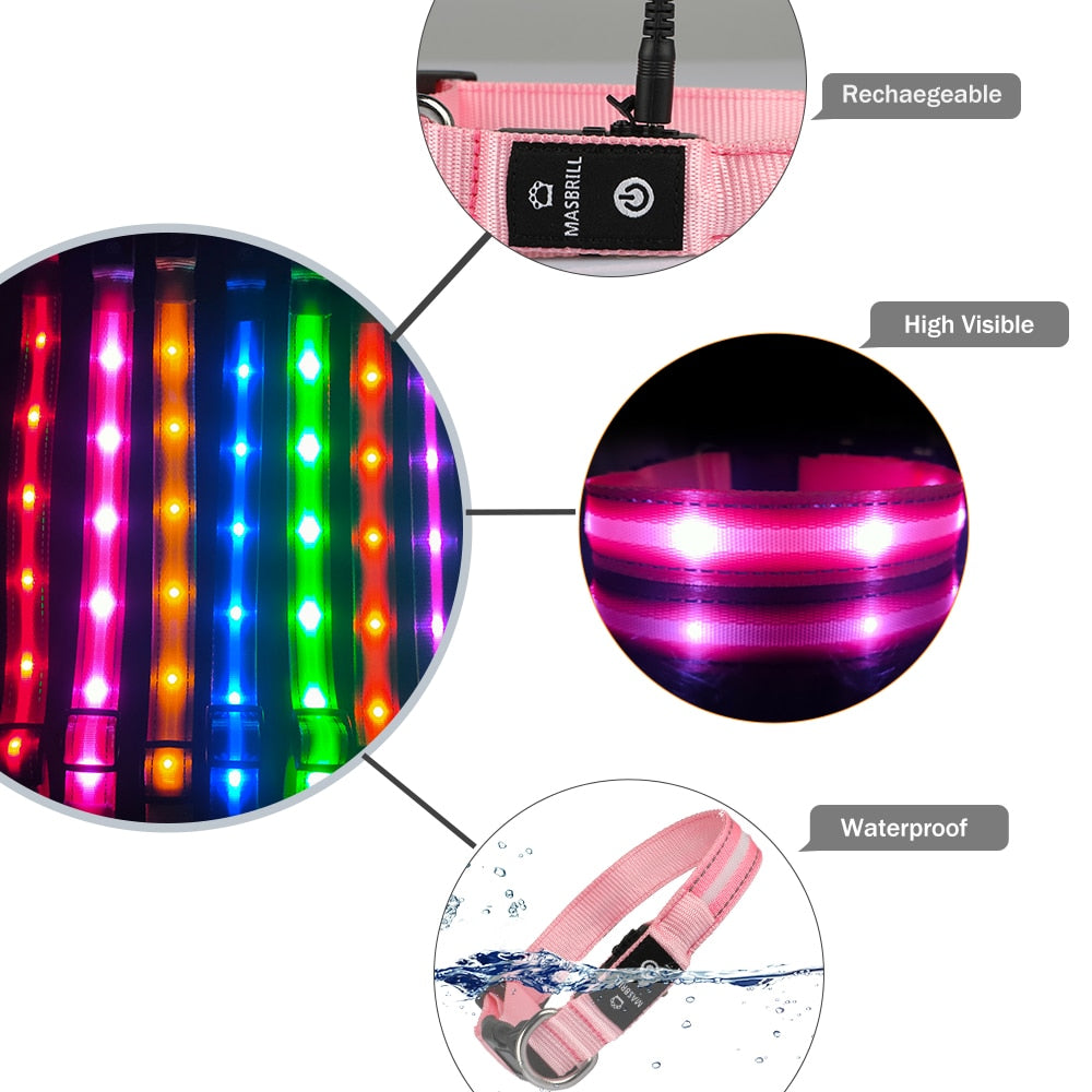 Light Up Dog Collar Waterproof USB Rechargeable Glowing