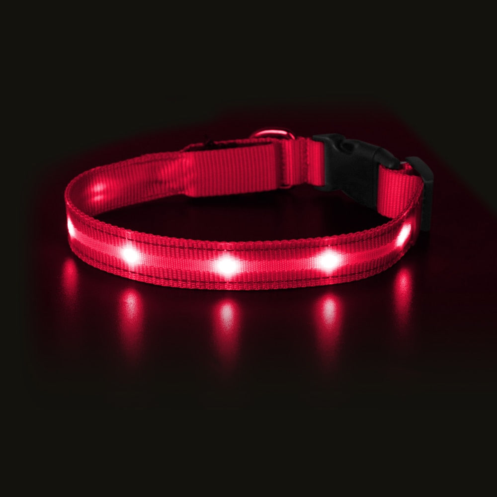 Light Up Dog Collar Waterproof USB Rechargeable Glowing