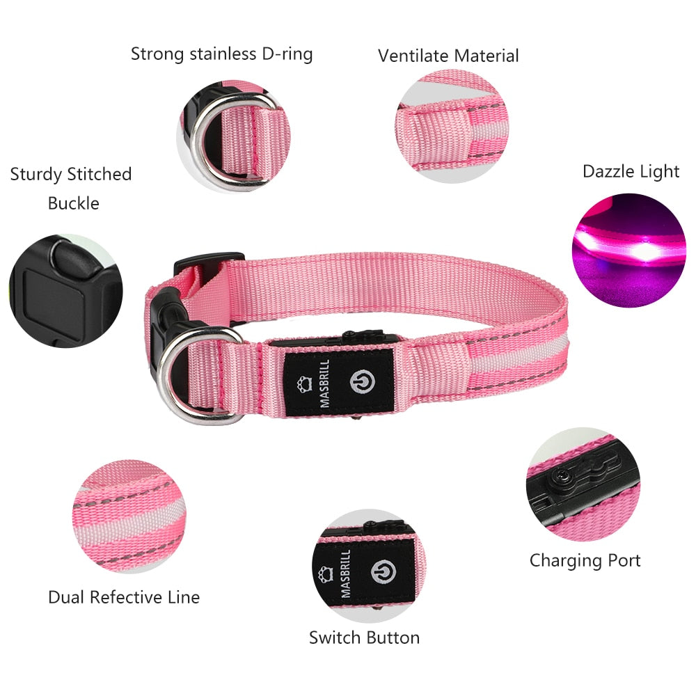 Light Up Dog Collar Waterproof USB Rechargeable Glowing