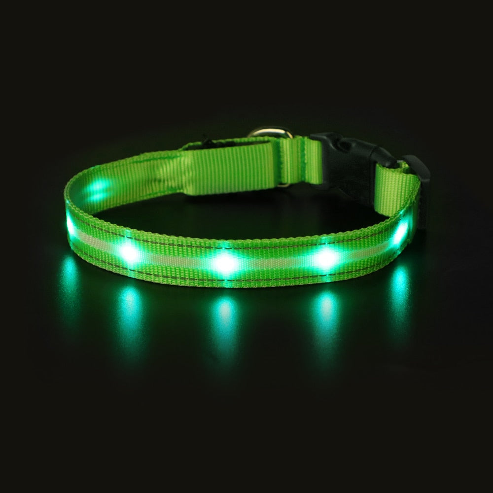 Light Up Dog Collar Waterproof USB Rechargeable Glowing